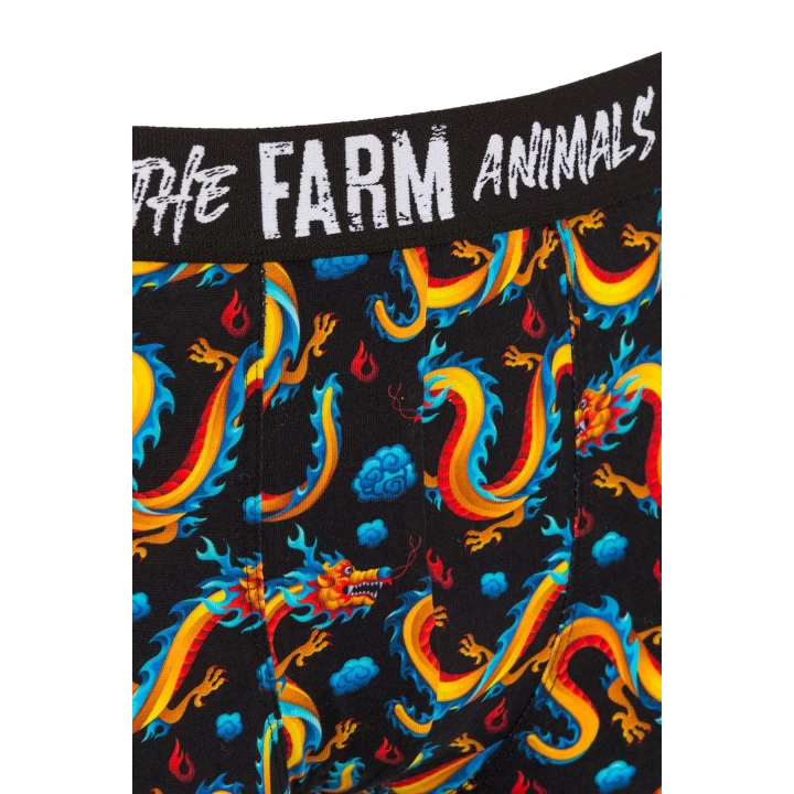 Farm Animals Dragon Desenli Boxer