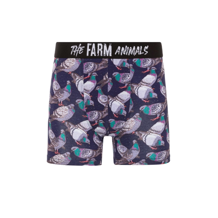 Farm Animals Pigeon Desenli Boxer