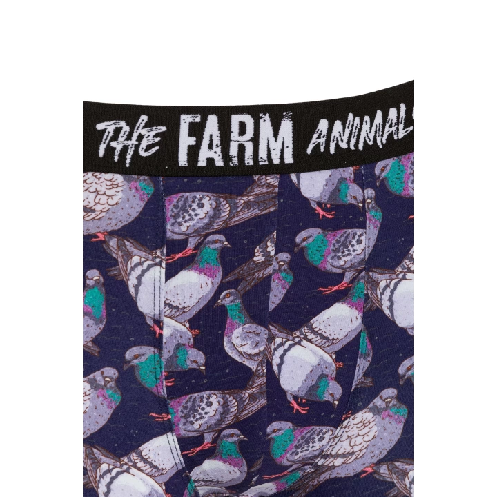 Farm Animals Pigeon Desenli Boxer