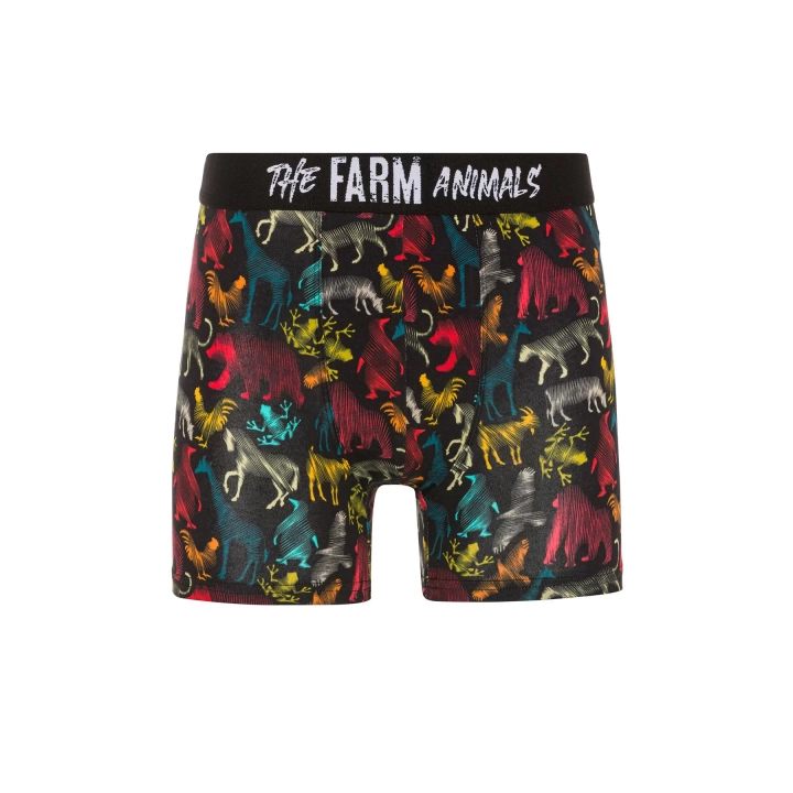 Farm Animals All Animals Desenli Boxer