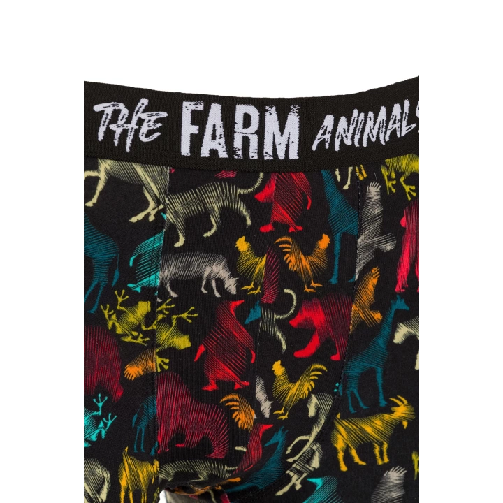 Farm Animals All Animals Desenli Boxer