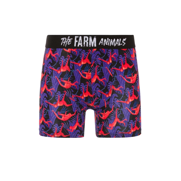 Farm Animals Red Monkey Desenli Boxer