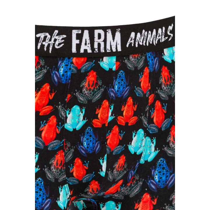 Farm Animals Frogs Desenli Boxer