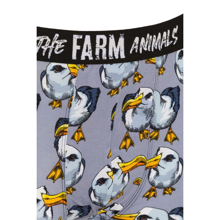 Farm Animals Seagull Desenli Boxer