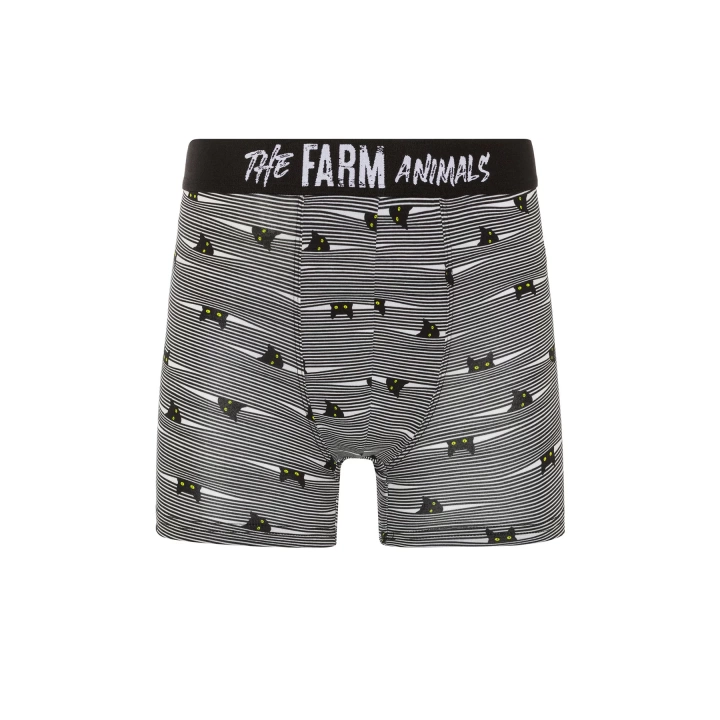 Farm Animals Yellow Eyed Hide N Cat Desenli Boxer