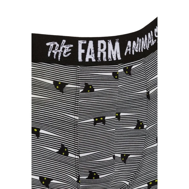 Farm Animals Yellow Eyed Hide N Cat Desenli Boxer