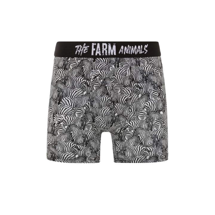 Farm Animals Zebra Desenli Boxer