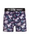 Farm Animals Pigeon Desenli Boxer