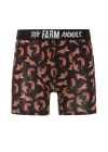 Farm Animals Tigers Desenli Boxer