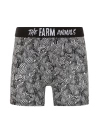 Farm Animals Zebra Desenli Boxer