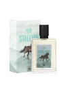 The Stallion Erkek Edt Parfüm 100 ml