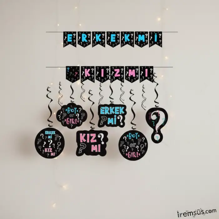 Cinsiyet Partisi Kızmı Erkekmi Banner + 6lı Tavan Süs Ekonomik Süsleme Paketi
