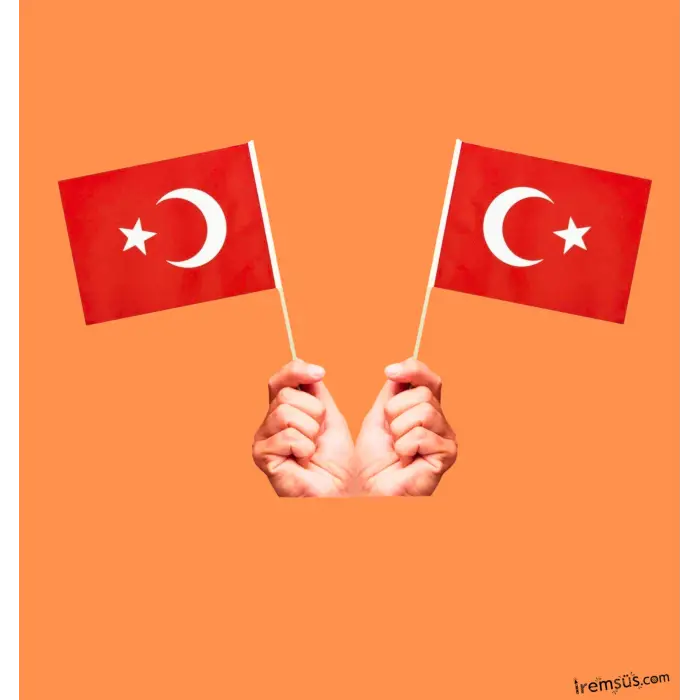 10 Adet Çubuklu Kağıt Türk Bayrağı Çıtalı Sopalı Ayyıldız Baskılı Bayrak 29 Ekim Süslemesi