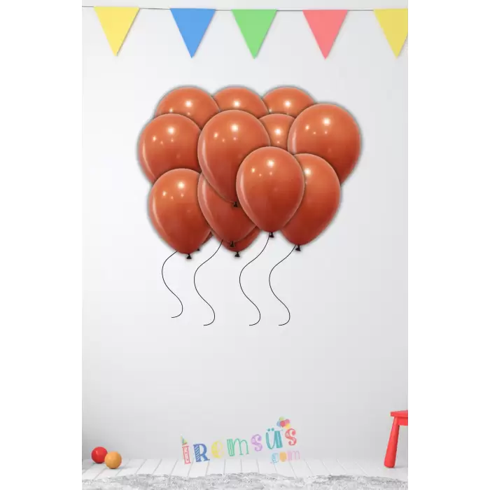 Kiremit Renkli Pastel Ton Lateks Balon 10 Adet Açık Terracotta Konsept Doğum Günü Süsleme Balonu