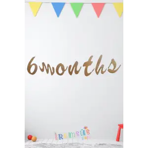 6 Months Yazılı Kraft Renk Kaligrafi Banner Yarım Yaş Konsept Süsleme Yazı