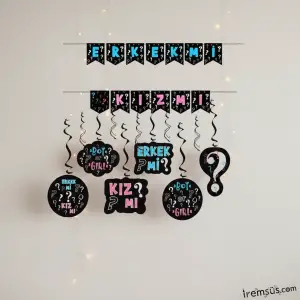 Cinsiyet Partisi Kızmı Erkekmi Banner + 6lı Tavan Süs Ekonomik Süsleme Paketi