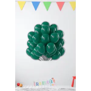 Pastel Ton Yeşil Renk Lateks Balon 10 Adet Koyu Yeşil Renk Doğum Günü Süsleme Balonu