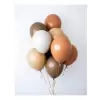 Kahve Krem Konsept Renk Lateks Balon 10 Adet Retro Sonbahar Konsept Balon Süslemesi