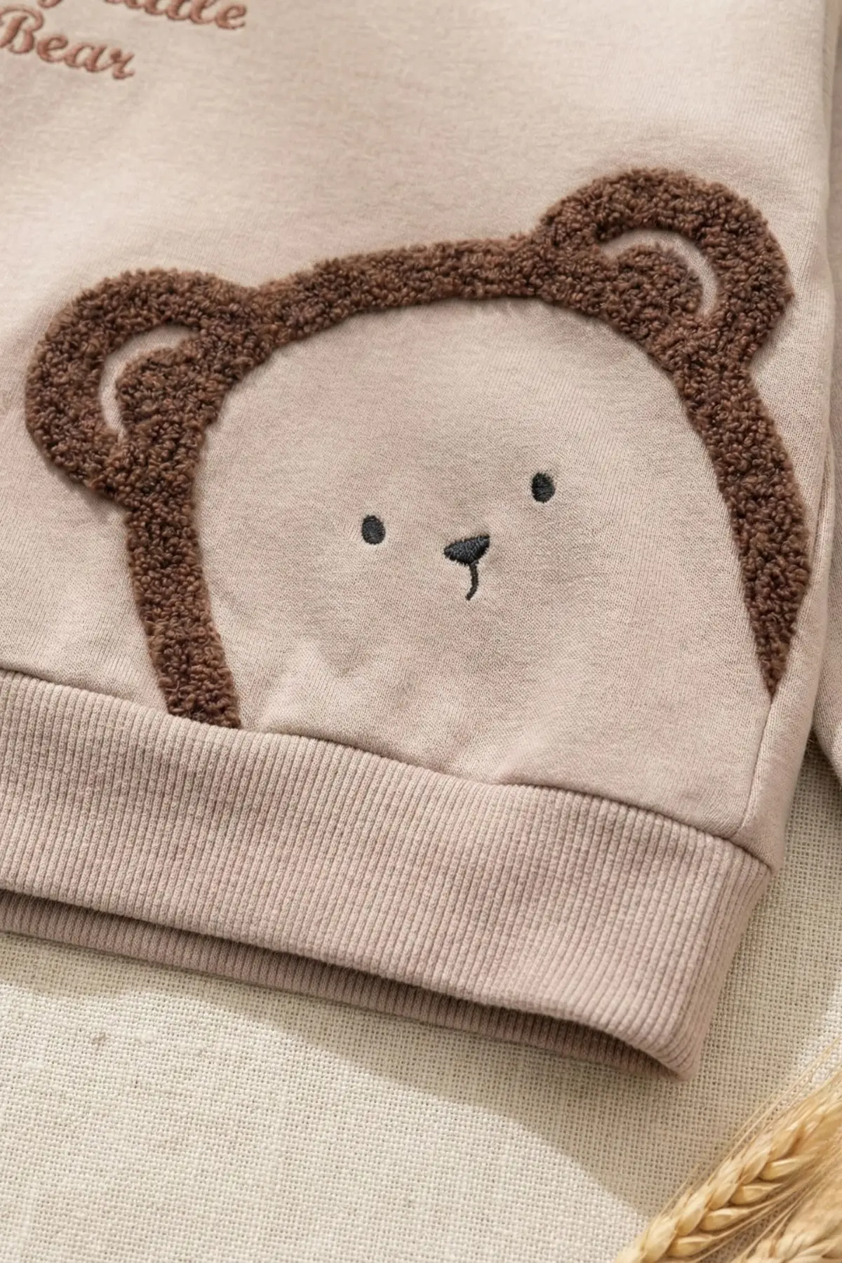 Ayıcık Nakışlı % 100 Pamuk 2li Erkek Bebek Takım