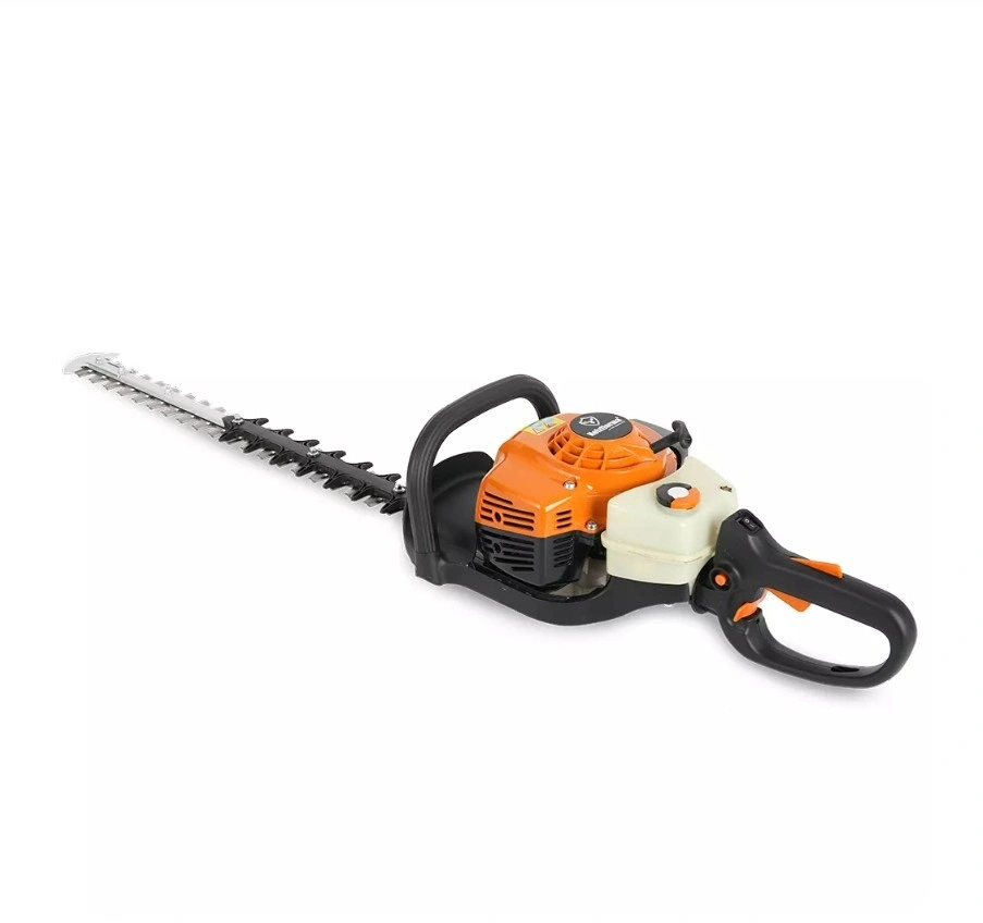 BENZİNLİ ÇİT BUDAMALAR