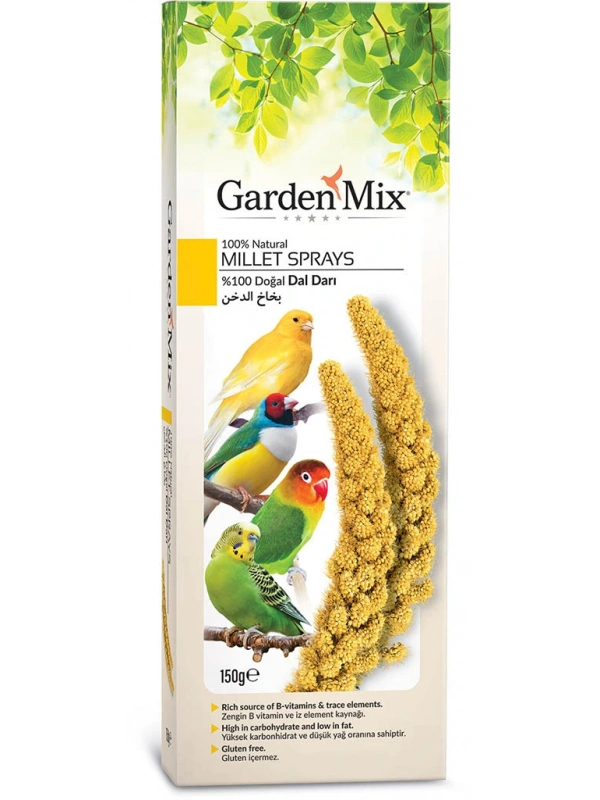 Gardenmix Platin Sarı Dal Darı