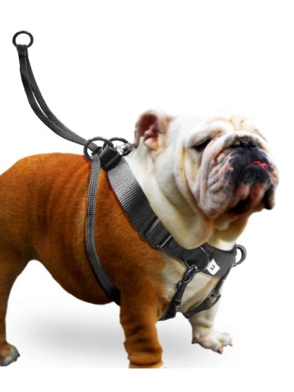 Karlıe Easy Walker Göğüs Tasma 52*84 Cm Xlarge