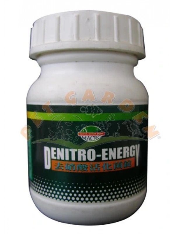 Macroaqua Denıtro Energy