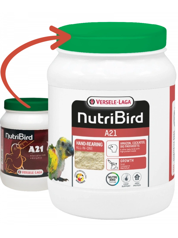 Versele Laga Nutrıbırd A21 Elle Yetiştirme Maması 800g