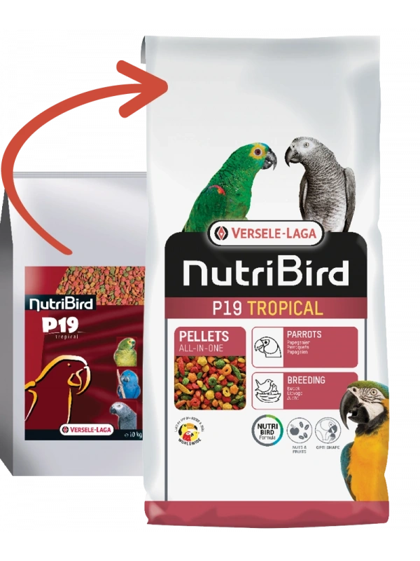Versele Laga Nutrıbırd P19 Tropıcal Papağan Pelet Yem 10kg