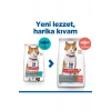 Hills Somonlu 10 kg Kısırlaştırılmış Yetişkin Kedi Maması