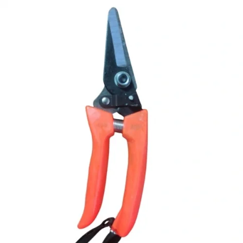 CEKATOP ( DAR AĞIZ ) ( METAL ) BAĞ MAKASI ( PLASTİK TURUNCU SAP ) ( BRKT-784696 )*12X