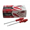 ASLAN 5*125 MM YILDIZ TORNAVİDA*24X