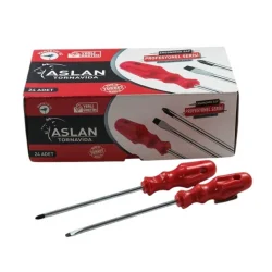 ASLAN 6*125 MM YILDIZ TORNAVİDA*24X