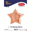 18 Rose Gold Yıldız Folyo Balon