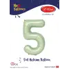 40 Su Yeşili Renk Folyo Balon ( 5 )