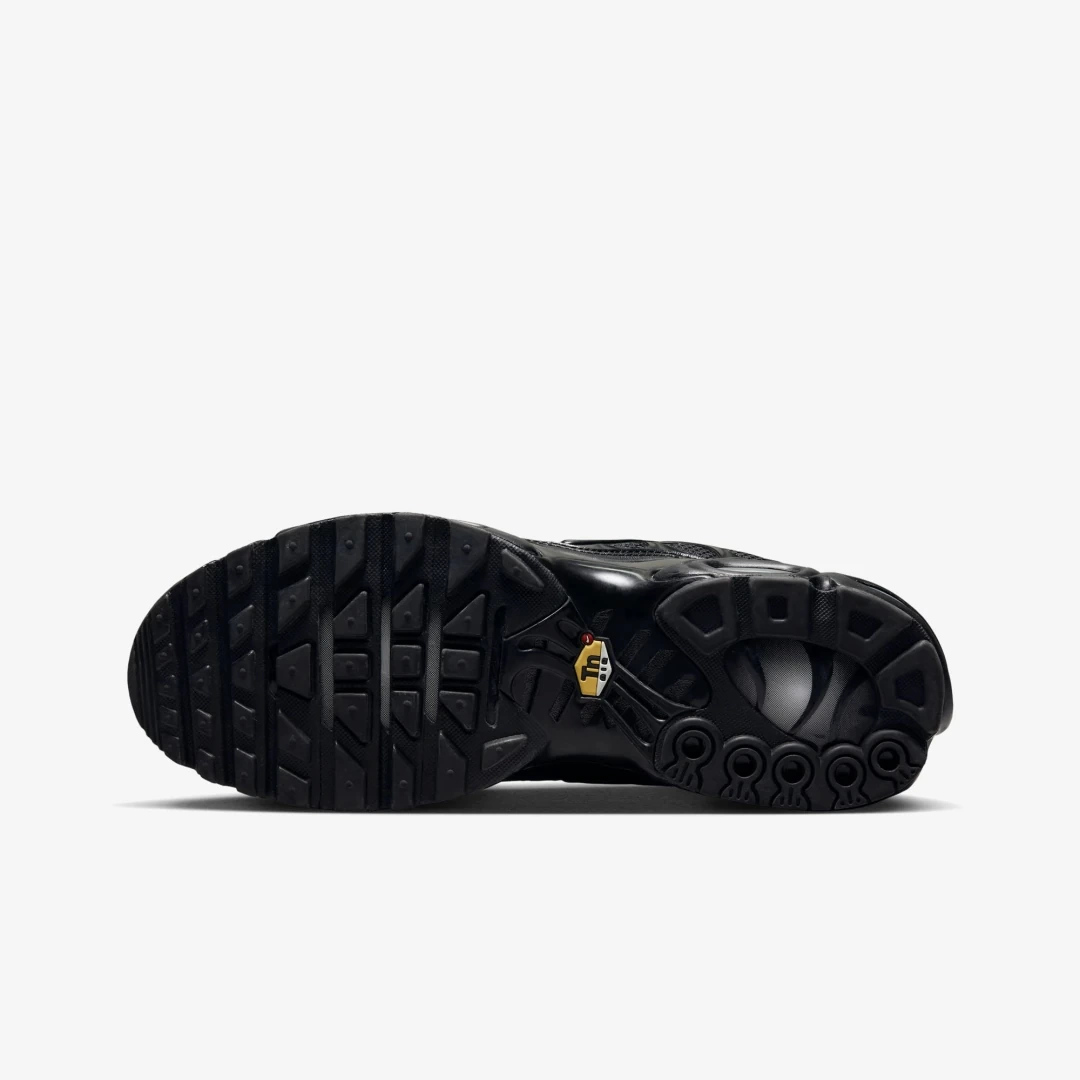 Air Max Plus TN Siyah