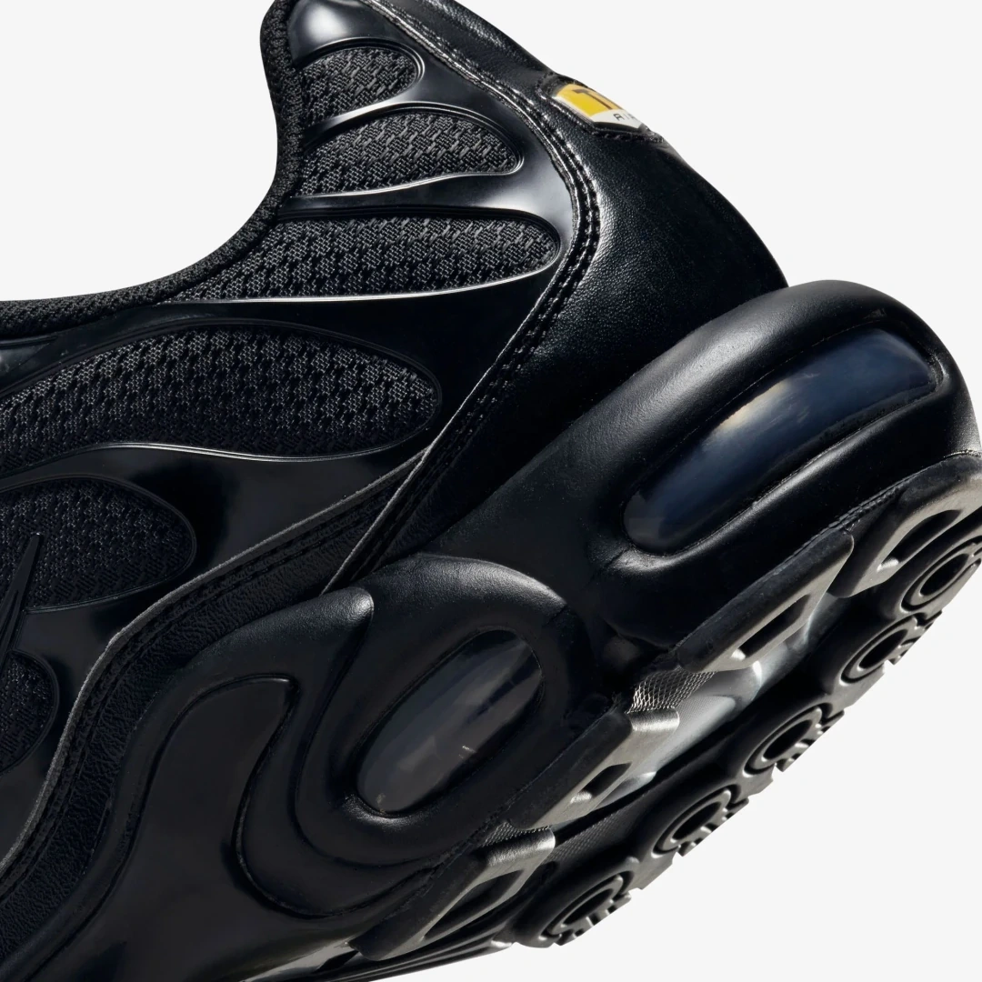 Air Max Plus TN Siyah
