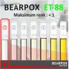 BearPOX ET-88 Masa Döküm Reçinesi 1,3 kg Set