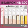 BearPOX HB 300 Hobi ve Sanatsal epoksi reçine 1600 g Set