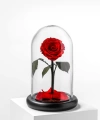 Lüks Çantada 3lü Vazo Set Kırmızı Solmayan Gül