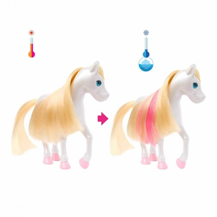 Barbie A Touch Of Magic Chelsea ve Pegasus Oyun Seti, HNT67