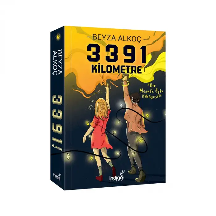 İndigo 3391 Km Bir Mesafe Aşkı Hikayesi