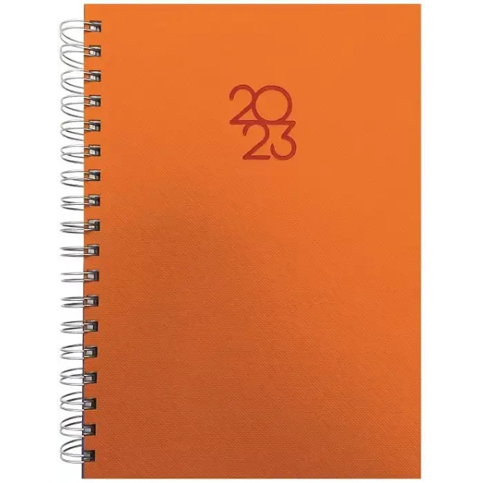 Lızzy 17x24 Thermo Deri Spr. Ajanda 2026 Aj1997sr