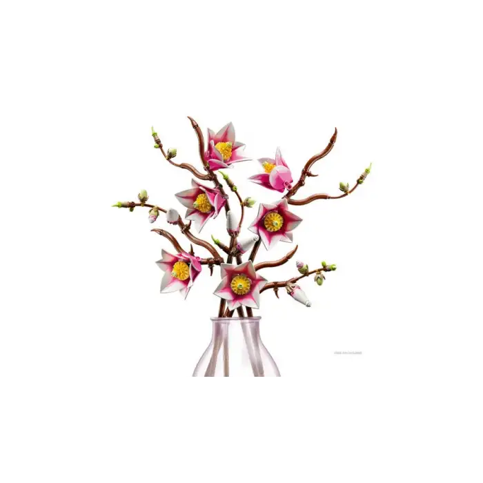 Lego Botanicals Manolya Dalları 11510