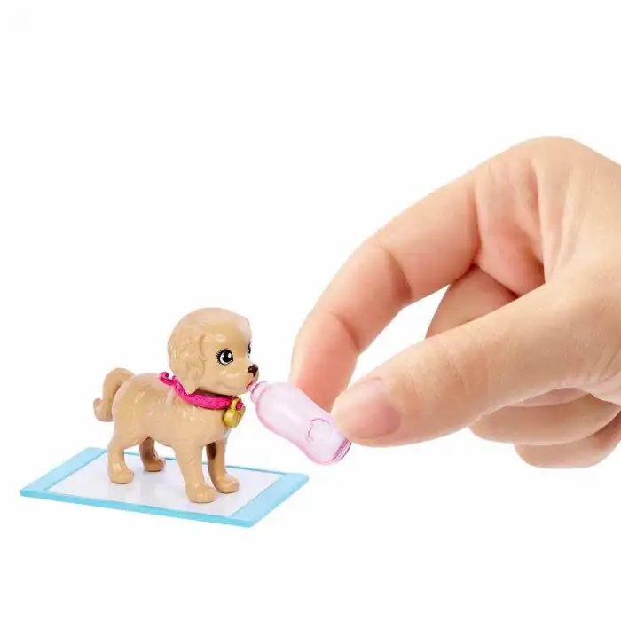 Mattel Barbie Ve Köpekçikleri Oyun Seti Hkd86