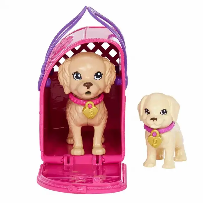 Mattel Barbie Ve Köpekçikleri Oyun Seti Hkd86