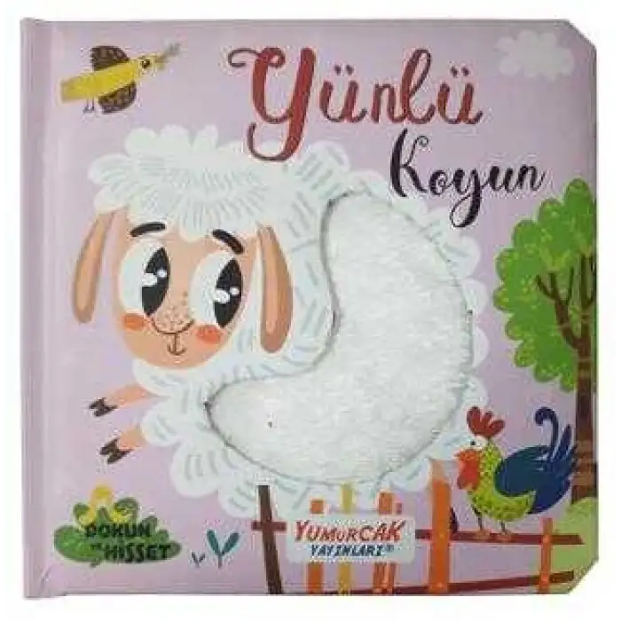 Yumurcak Yünlü Koyun