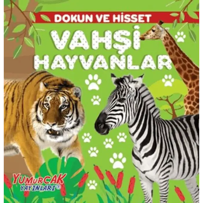 Yumurcak Dokun ve Hisset Vahşi Hayvanlar