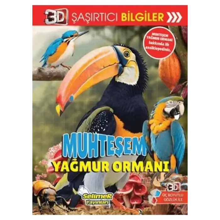 Yumurcak 3D Şaşırtıcı Bilgiler Muhteşem Yağmur Ormanı