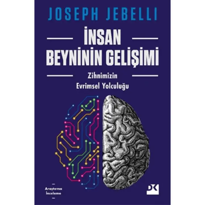 Doğan İnsan Beyninin Gelişimi